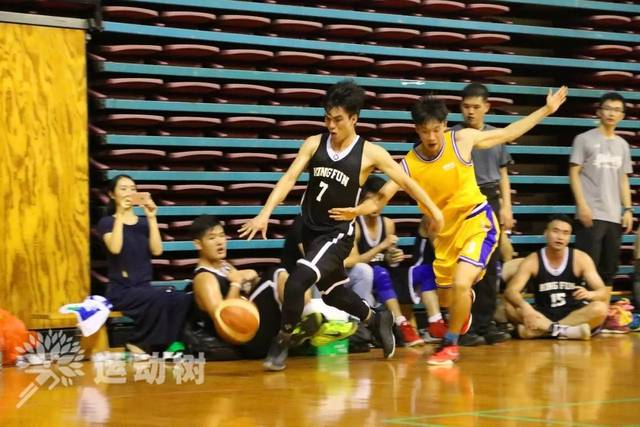  美因茨主场气势如虹，球迷助威催生胜利动力  